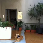 5 Sensi Affittacamere Belpasso